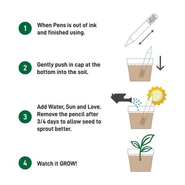 Steps on how to plant the plantable pen