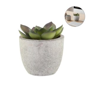 CAMAS - Artificial Succulent Plant in Pulp Pot - Eco-Friendly Corporate Gifts Dubai